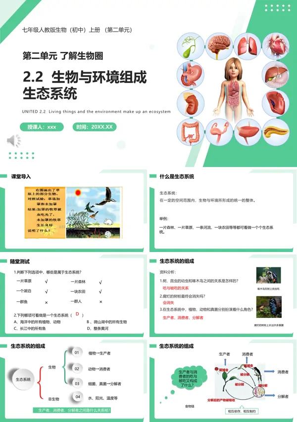生物与环境组成生态系统课件PPT模板