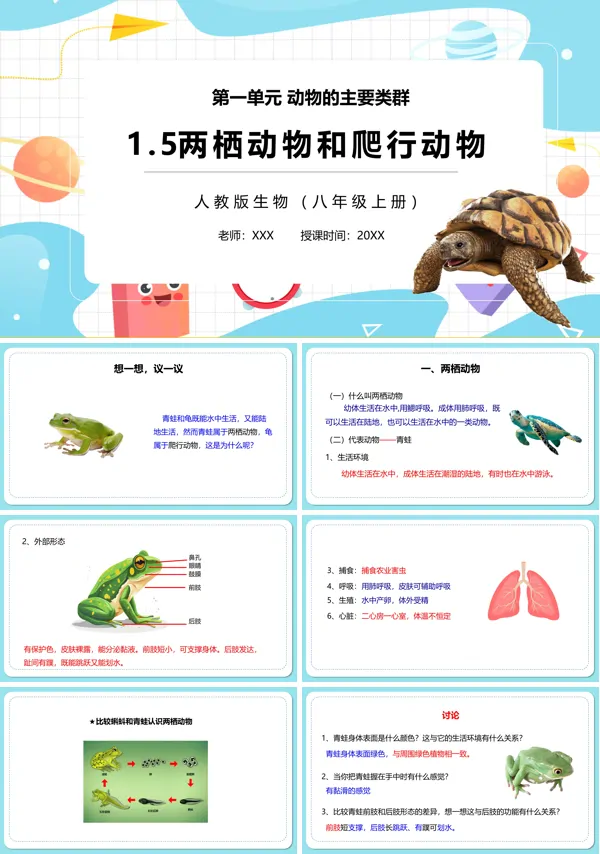 人教版八年级生物两栖动物和爬行动物教案PPT课件