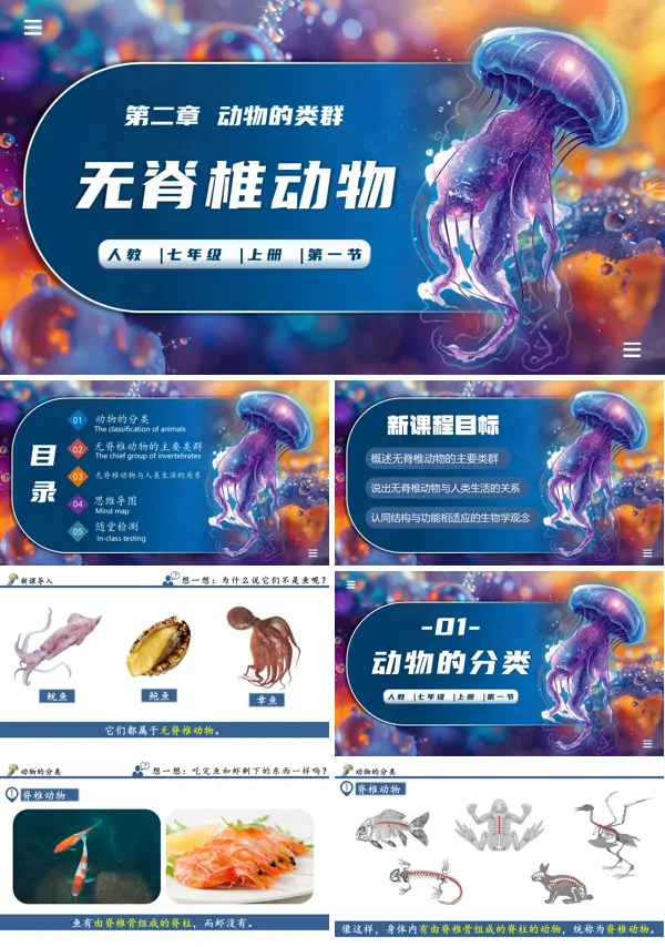 生物人教七年级生物上册无脊椎动物PPT课件含教案