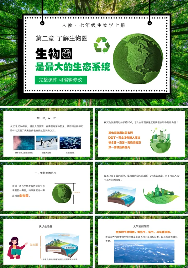 生物圈是最大的生态系统PPT课件