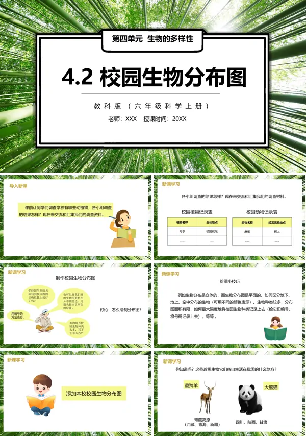 教科版六年级上册科学校园生物分布图课件PPT模板