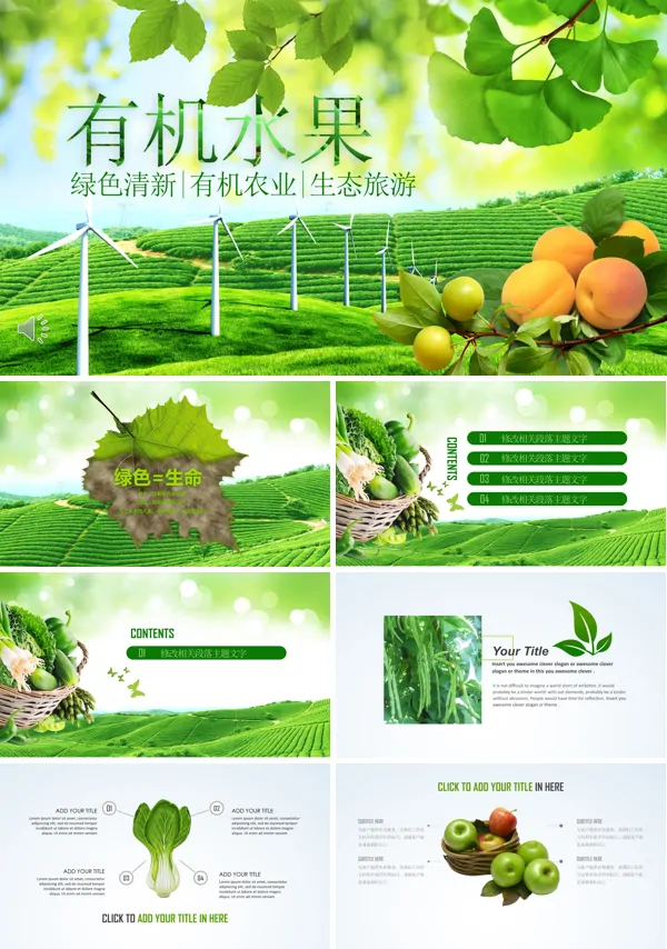 有机水果PPT