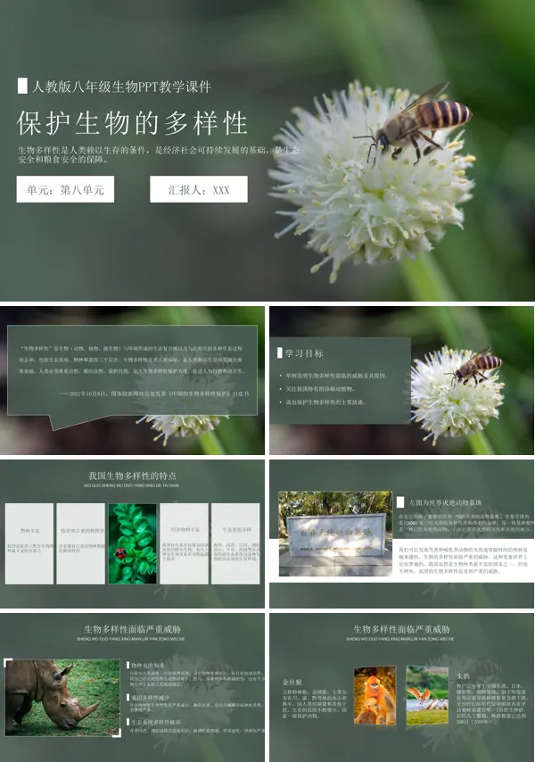 人教版八年级生物上册保护生物的多样性课件ppt