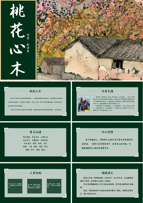 桃花心木ppt课件完美版