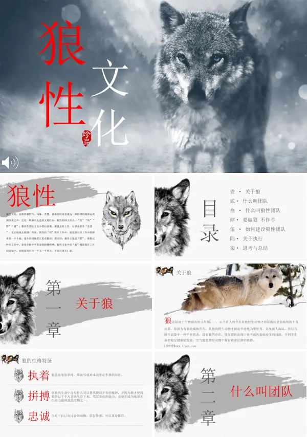 商务企业团队培训之狼性文化PPT模板
