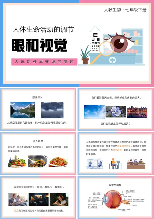 七年级下册人体生命活动的调节知识点PPT课件