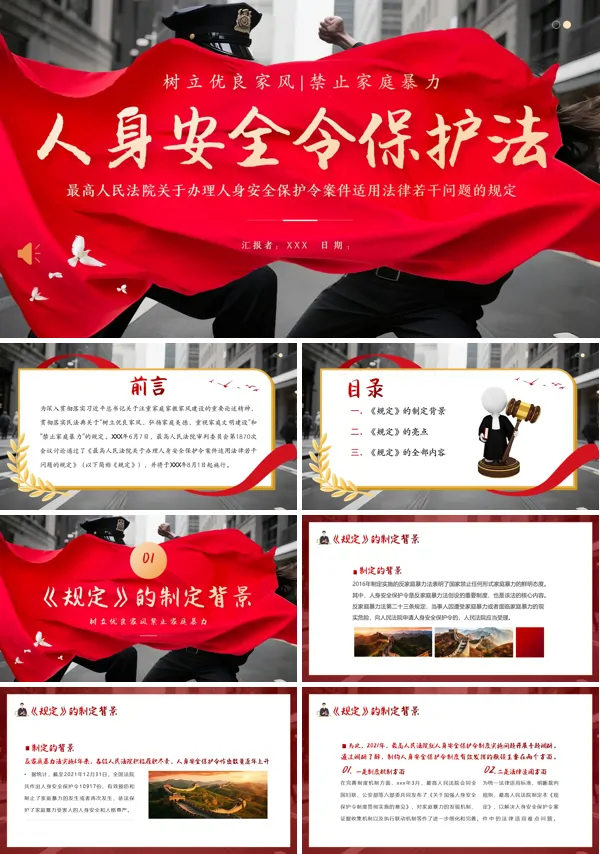 人身安全令保护法学习解读PPT课件模板含讲稿
