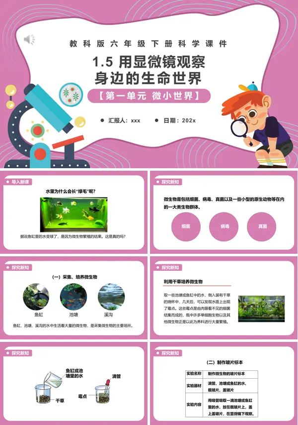 用显微镜观察身边的生命世界课件PPT模板