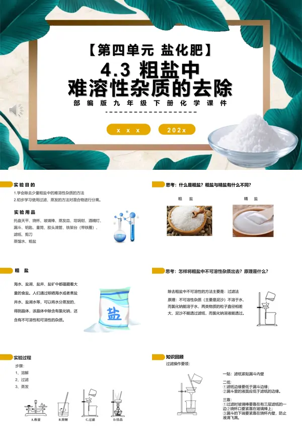 部编版九年级化学下册粗盐中难溶性杂质的去除课件PPT