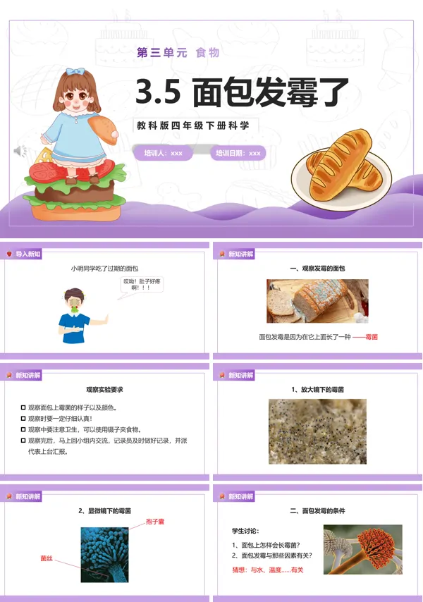 面包发霉了课件PPT模板