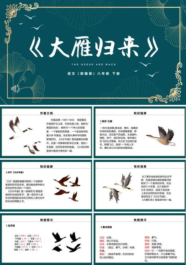 大雁归来PPT课件
