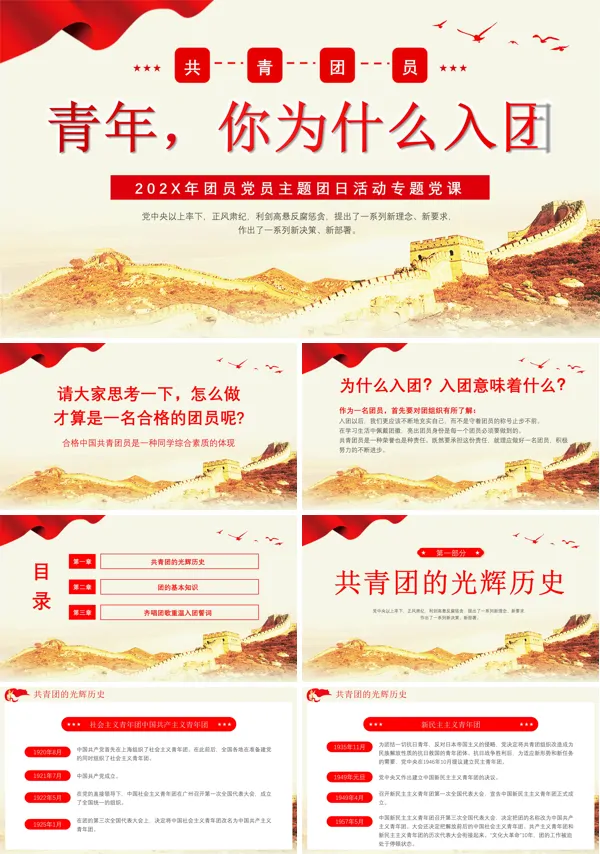 团课说课青年你为什么要入团课件PPT模板