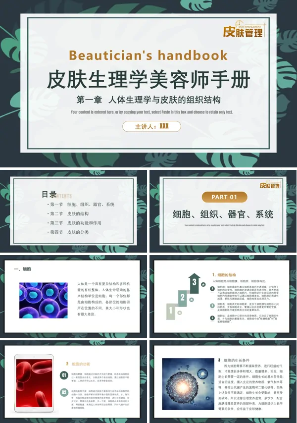 皮肤生理学美容师手册培训PPT模板