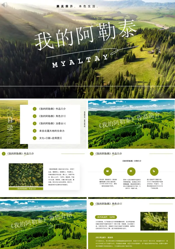 电影分享我的阿勒泰PPT课件