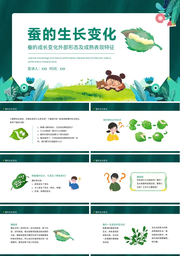 蚕的每个阶段的外部形态PPT课件