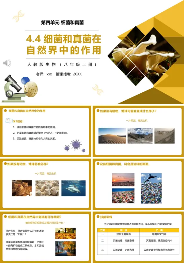 细菌和真菌在自然界中的作用课件PPT模板