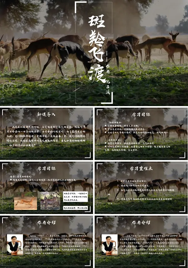 初中语文人教版八年级《斑羚飞度》PPT下载教案课件