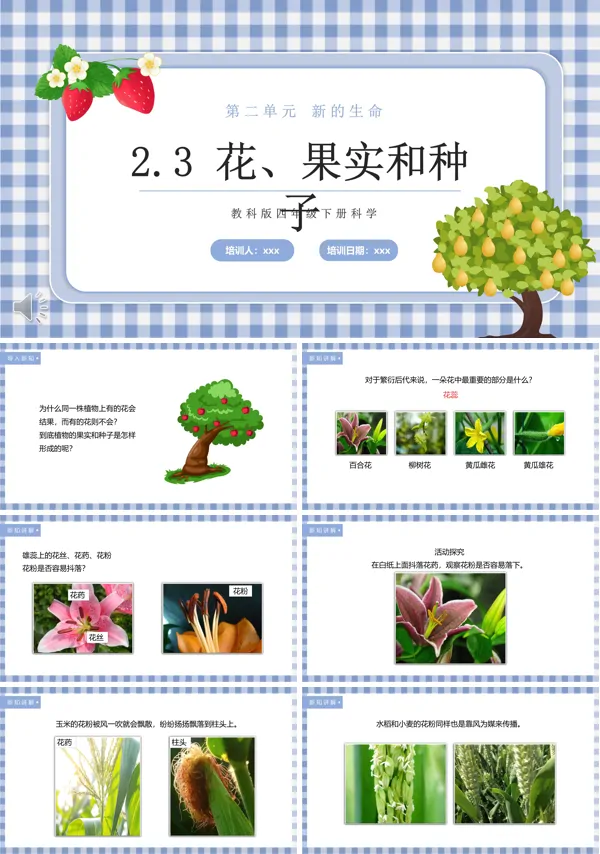 花、果实和种子课件PPT模板