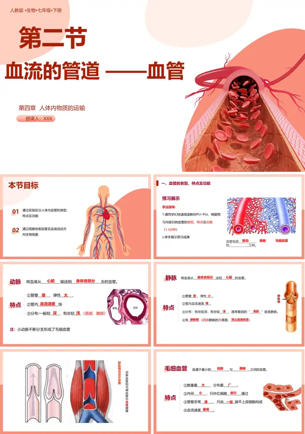 人教版七年级生物下册教学内容血流的管道—血管