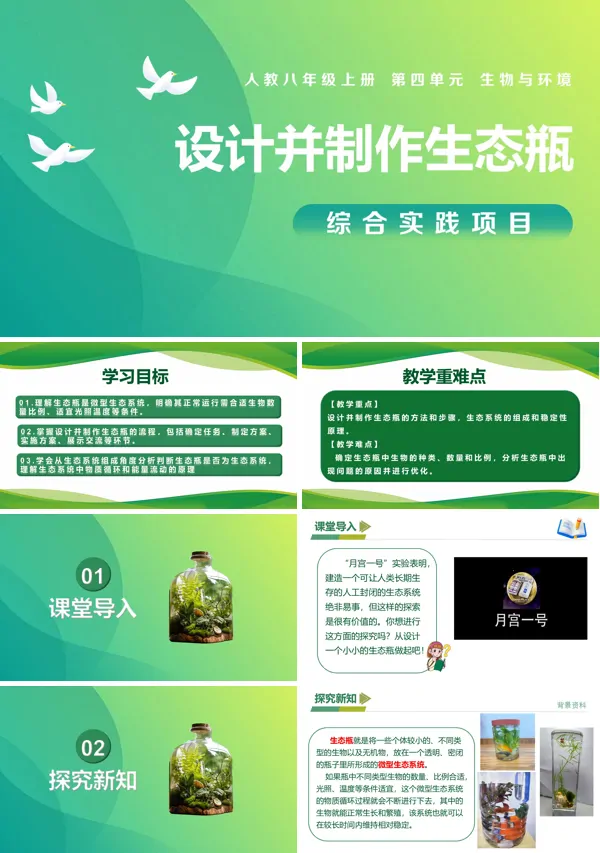 八年级生物上册 人教 综合实践项目 设计并制作生态瓶(教学课件)ppt课件含教案