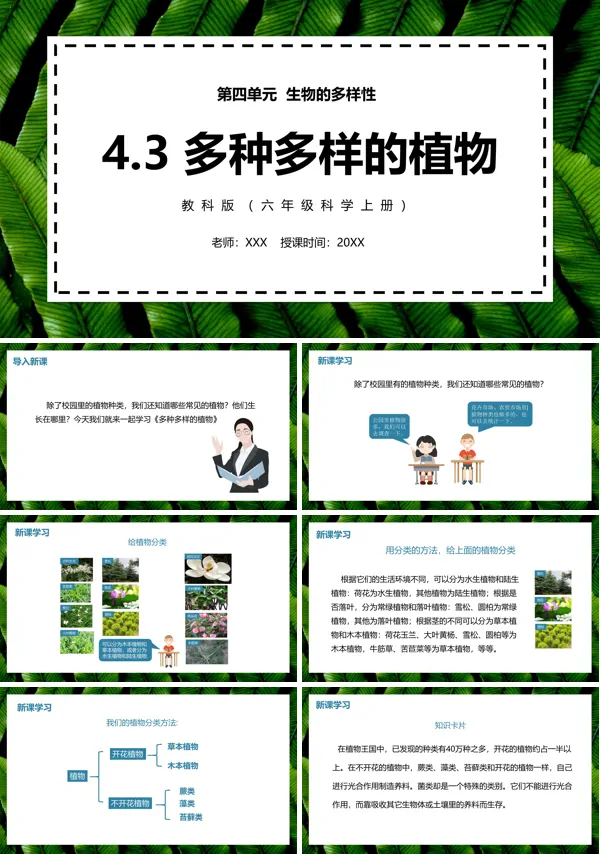 教科版六年级上册科学《多种多样的植物》课件PPT模板
