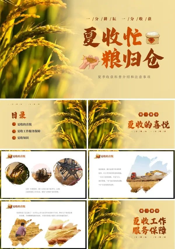 夏收工作服务保障总结汇报PPT模板