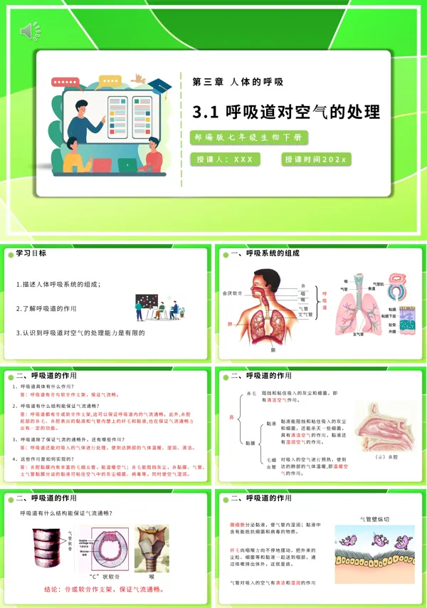 部编版七年级生物下册呼吸道对空气的处理课件PPT模板