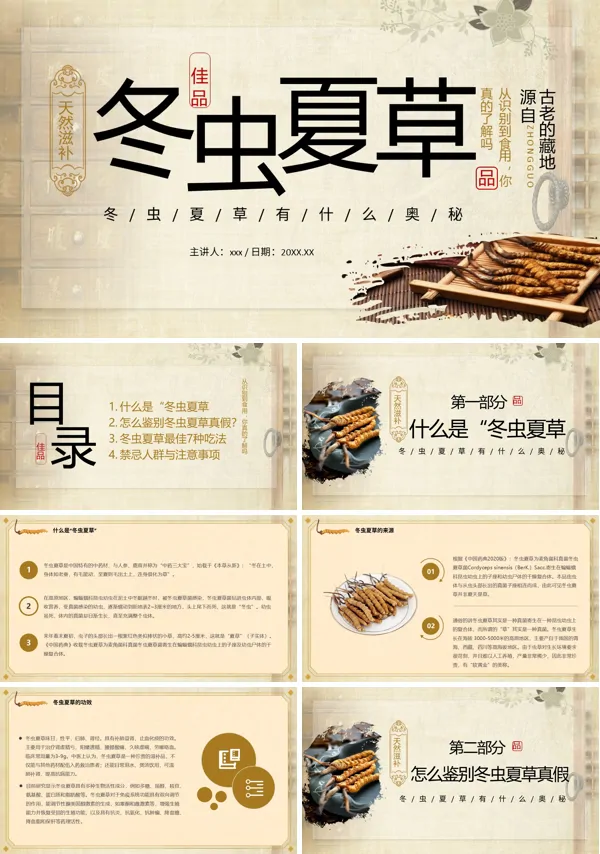冬虫夏草介绍PPT课件模板含讲稿
