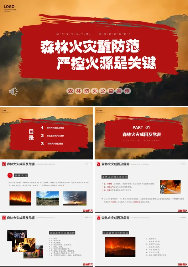 森林火灾重防范严控火源是关键公益宣传PPT