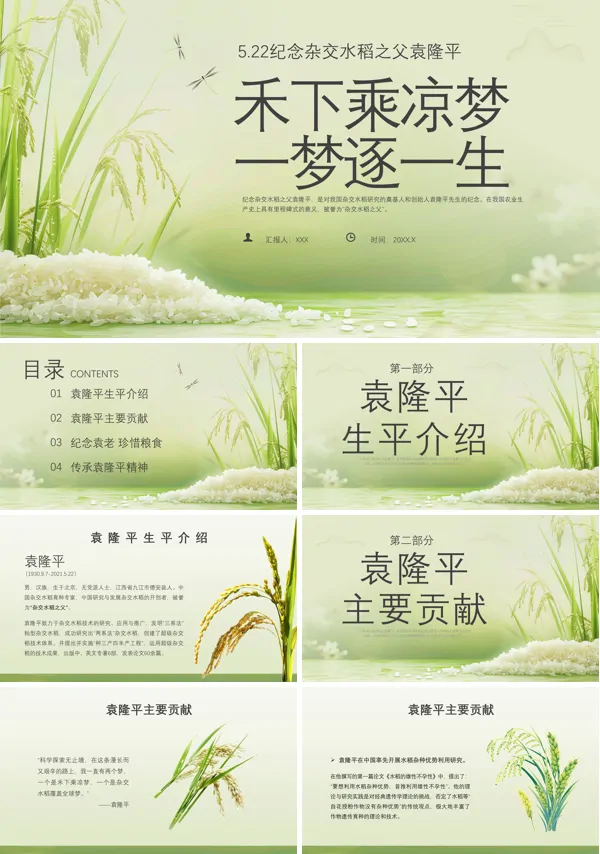 缅怀“杂交水稻之父”袁隆平PPT课件