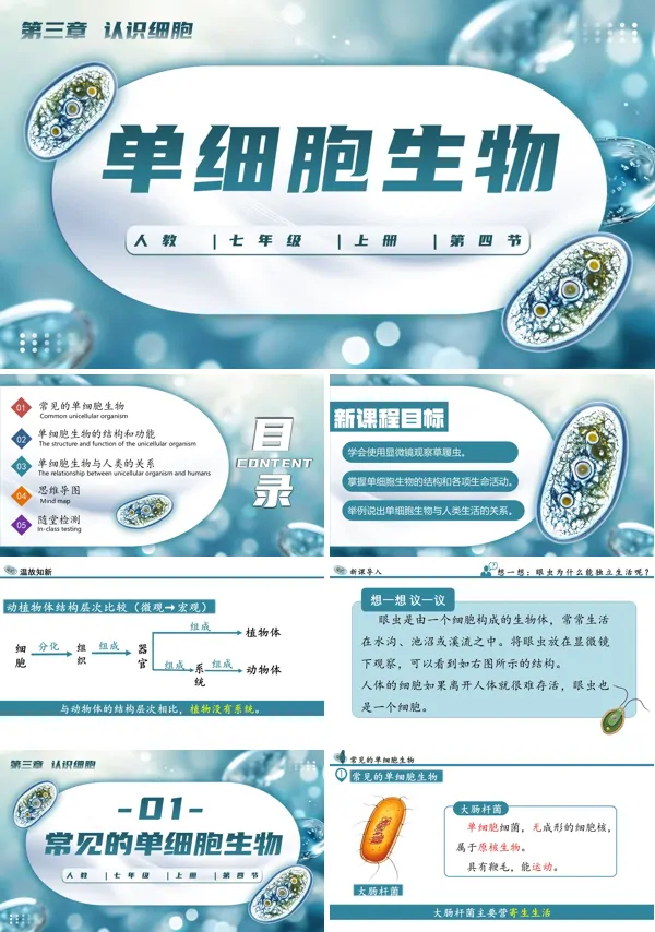 生物人教七年级生物上册单细胞生物PPT课件含教案