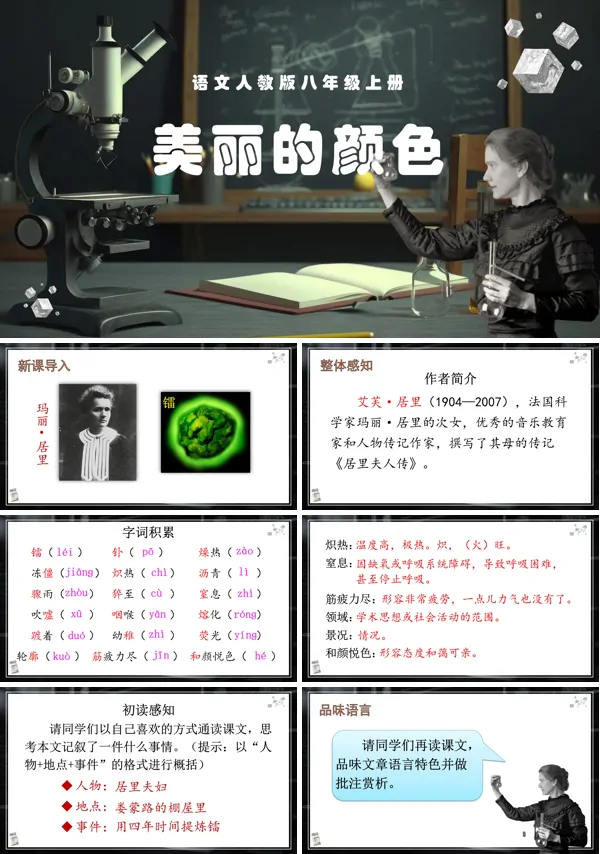 《美丽的颜色》语文八年级上册PPT课件含教案
