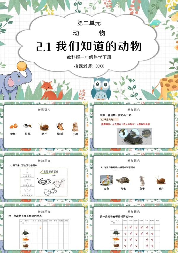 《动物-我们知道的动物》PPT课件