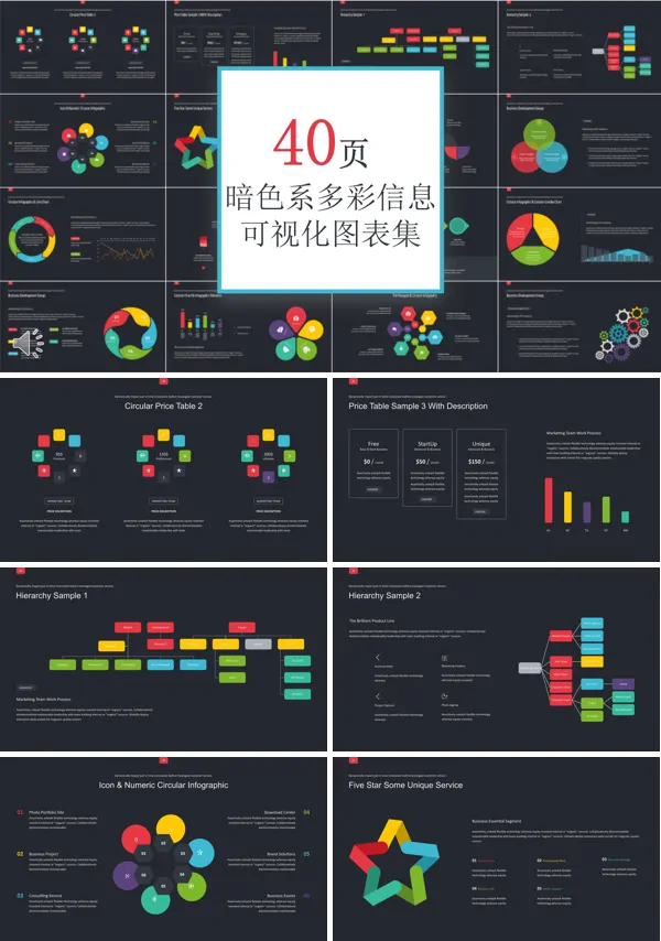 40套暗色系多彩信息可视化PPT图表合集