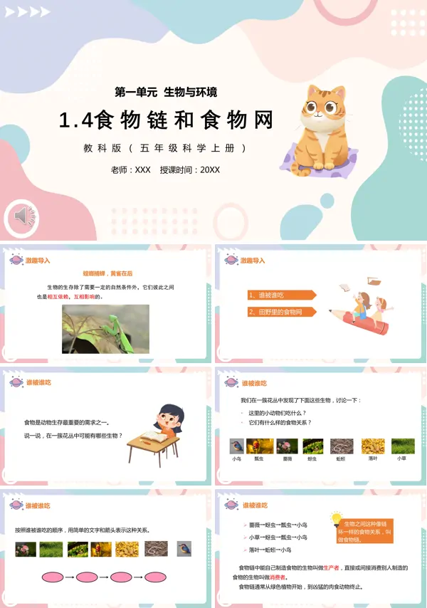 五年级科学上册食物链和食物网PPT课件模板
