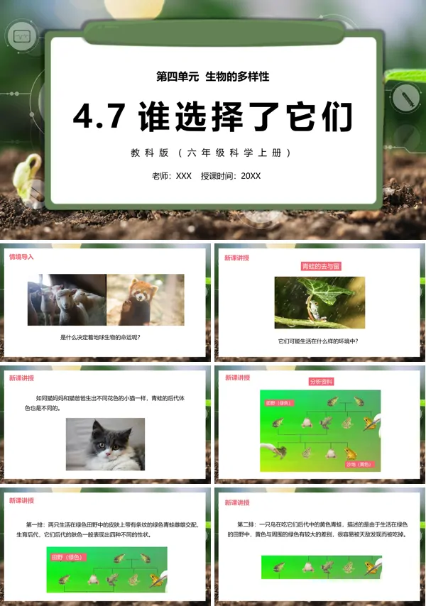 六年级科学上册谁选择了它们PPT课件模板
