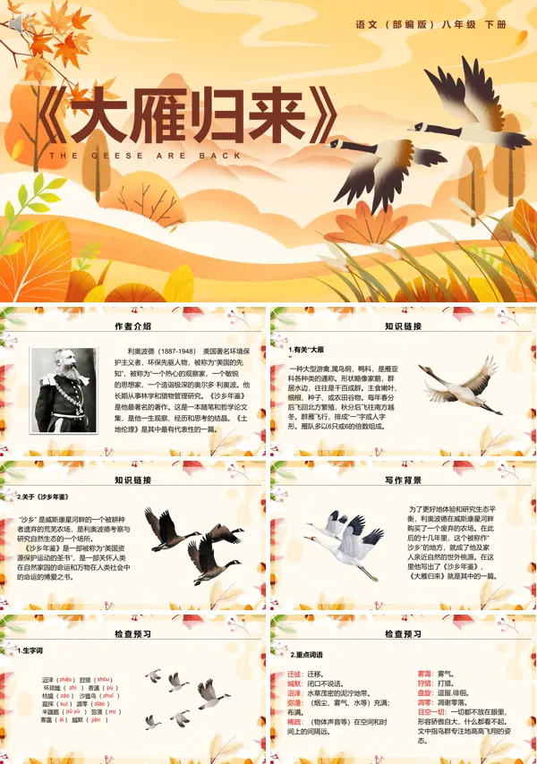 八年级下册语文《大雁归来》PPT课件