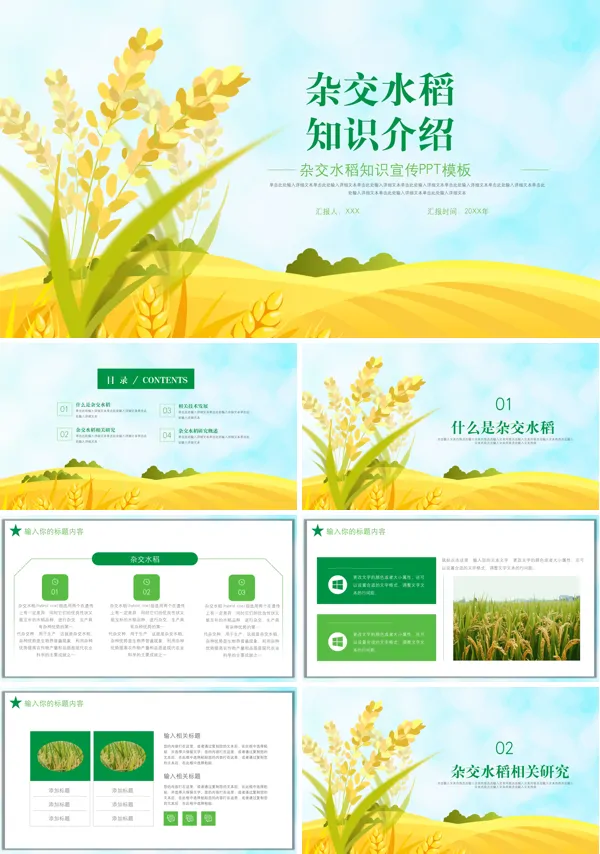 关于杂交水稻的演讲PPT