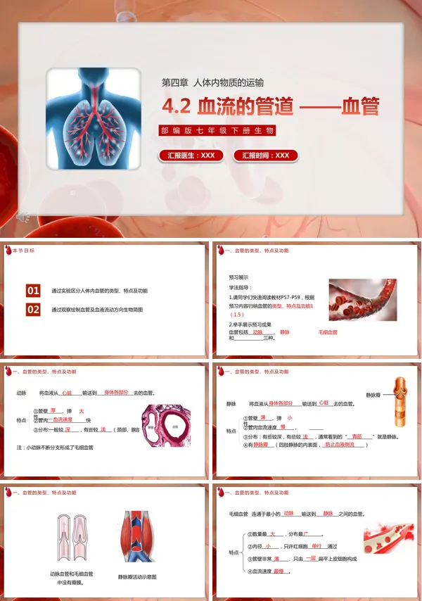 七年级下册生物《血流的管道血管》人教版PPT课件