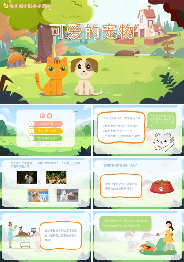 可爱的宠物教案PPT课件