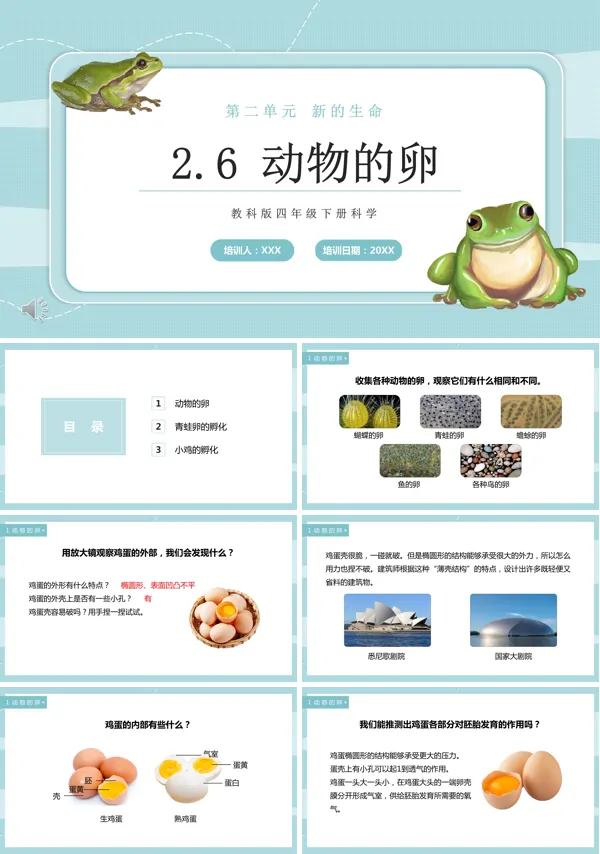 四年级下册动物的卵课件PPT模板