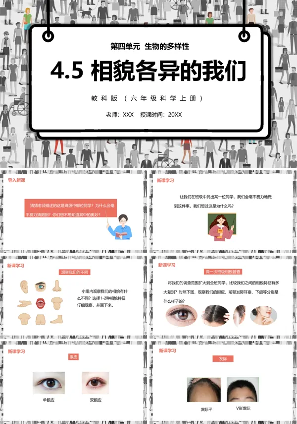 教科版科学六年级上册《相貌各异的我们》ppt课件