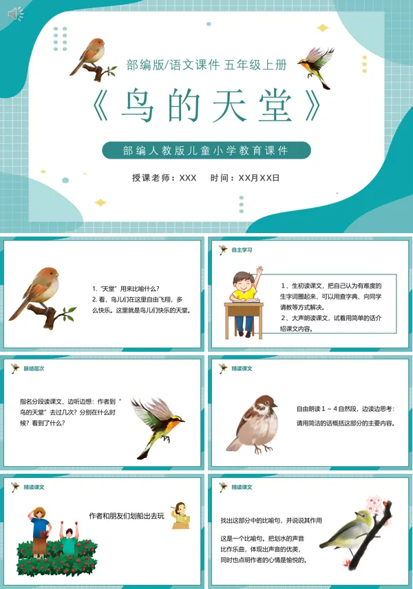 鸟的天堂PPT课件