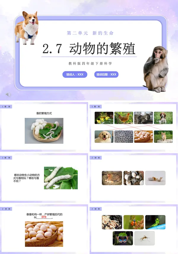四年级下册动物的繁殖课件PPT模板