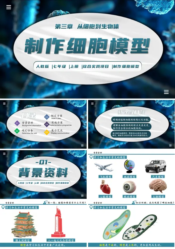 生物人教七年级生物上册综合实践项目制作细胞模型PPT课件含教案