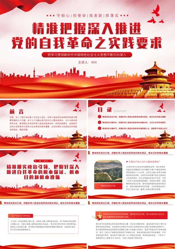 推进党的自我革命之实践要求PPT专题党课