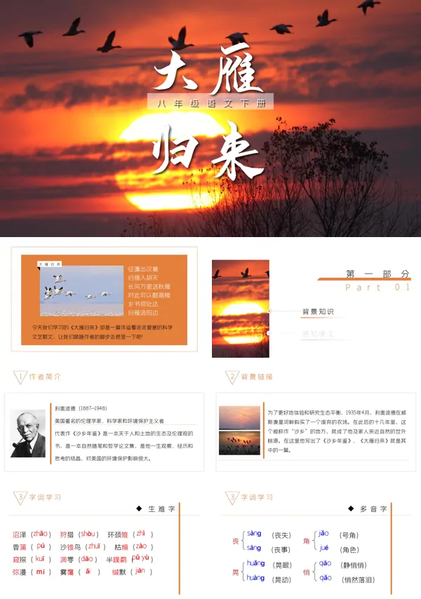 人教部编版八年级语文下册7《大雁归来》教学课件