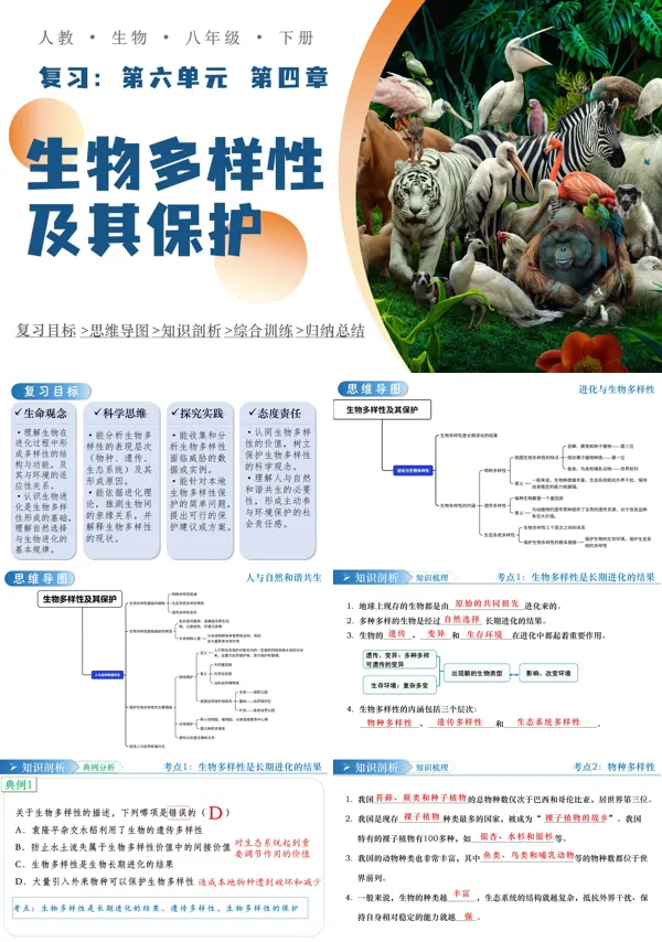 生物六單元第四章《生物多樣性及其保護》八年級下冊人教ppt復習課件（知識清單）