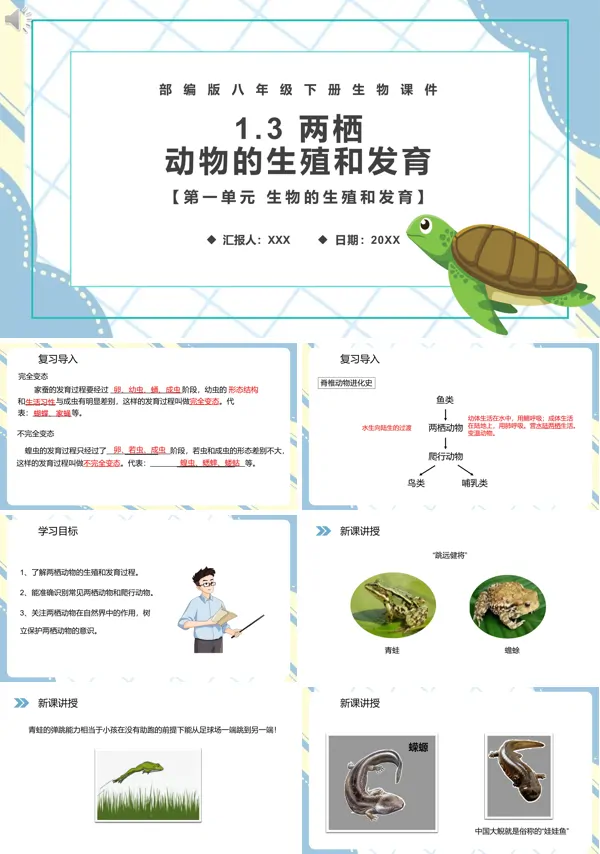 八下生物两栖动物的生殖和发育知识点PPT课件