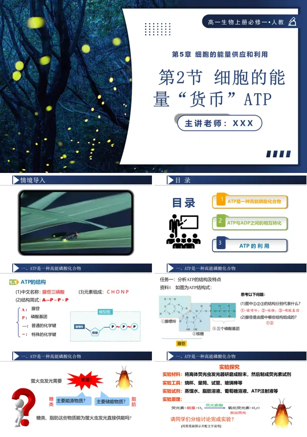 高一人教生物上册必修一5.2细胞的能量货币ATP课件PPT含教案